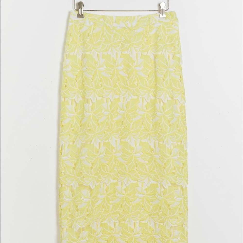Sunday in Brooklyn. Polyester rayon lining skirt